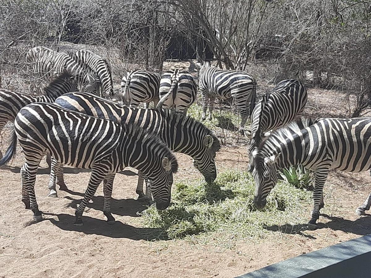 African Bush Escape Marloth Park Ngoại thất bức ảnh
