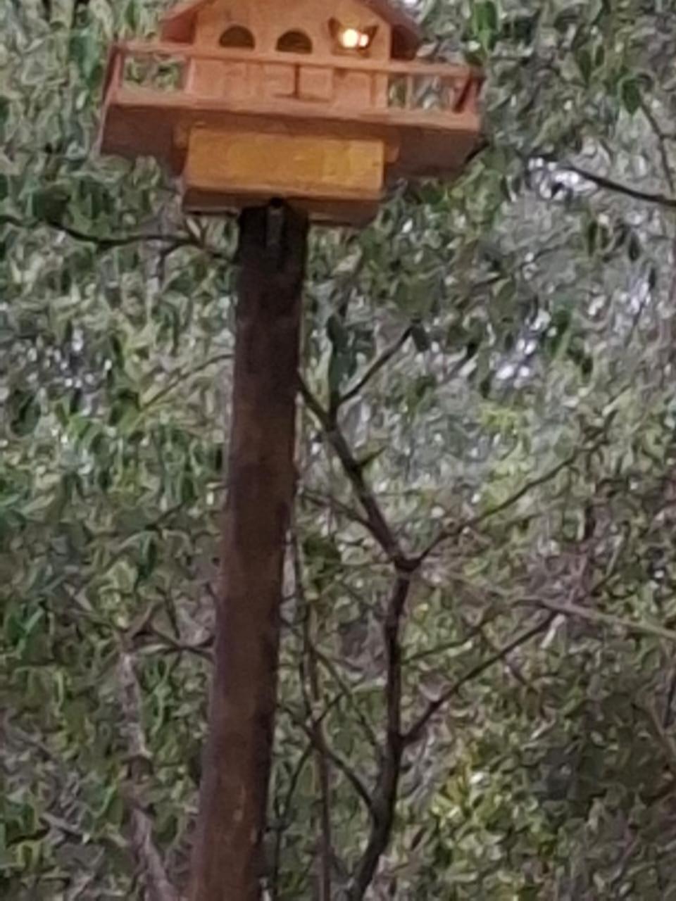 African Bush Escape Marloth Park Ngoại thất bức ảnh