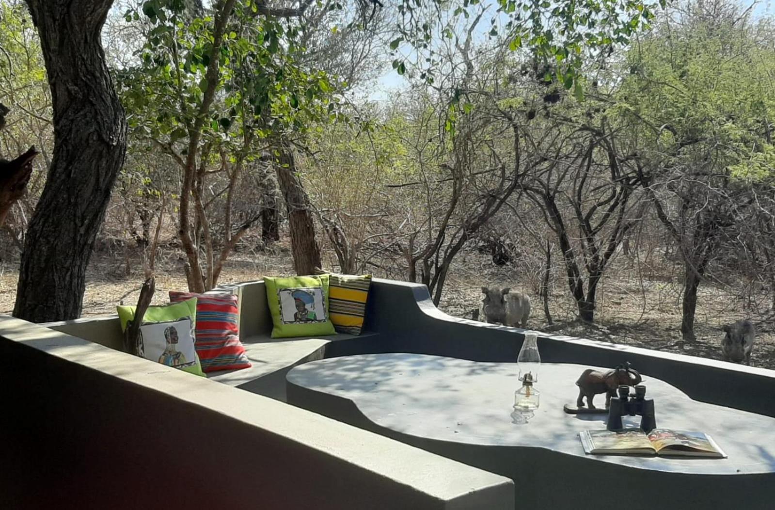 African Bush Escape Marloth Park Ngoại thất bức ảnh